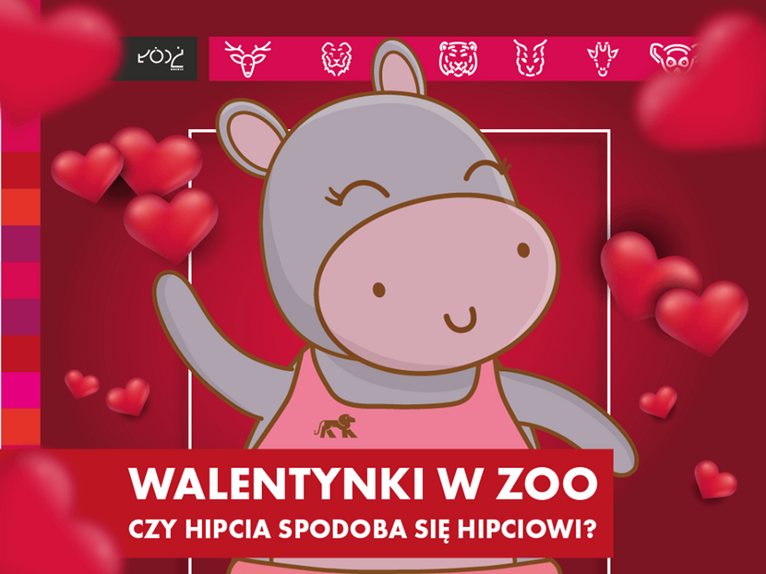 fot. mat. ZOO
