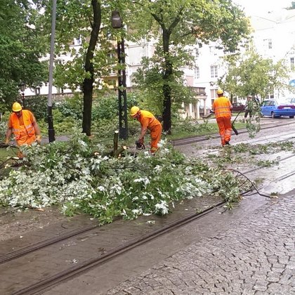 Bałuty. Skutki porannej nawałnicy, fot. Hanna Zubrzycka / UMŁ