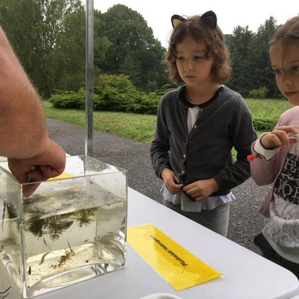 Akademia Różnorodności - pokaz bezkręgowców, fot. Ogród Botaniczny