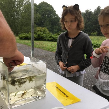 Akademia Różnorodności - pokaz bezkręgowców , fot. Ogród Botaniczny