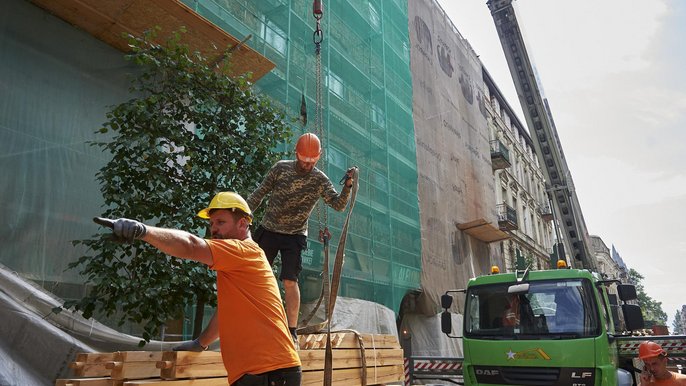 Łódź Rewitalizuje. Nowy dach na przyszłym budynku biblioteki Łódź Rewitalizuje. Nowy dach na przyszłym budynku biblioteki - fot. Radosław Jóźwiak / UMŁ