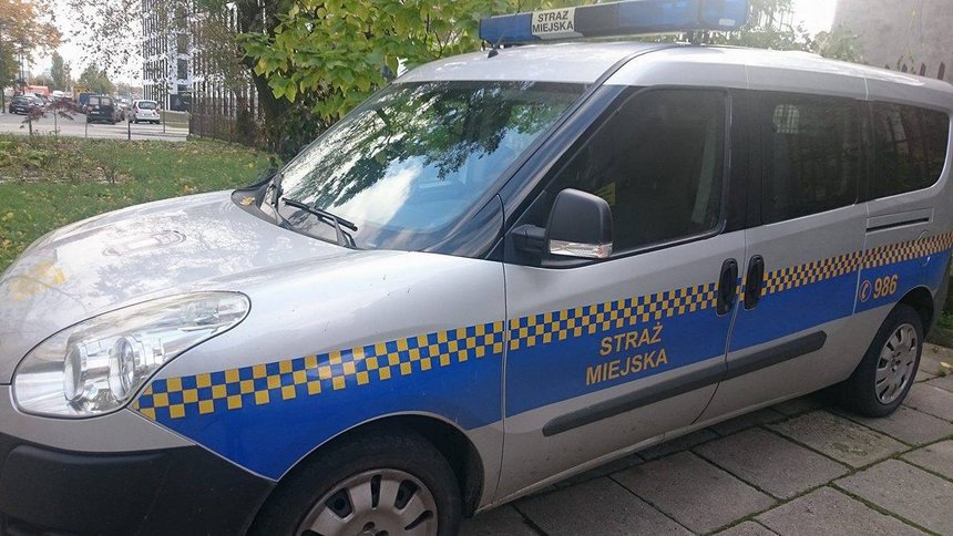 Wykroczenia w ruchu drogowym