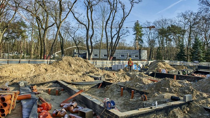 W ZOO rozpoczęła się budowa pawilonu dla hipopotamów karłowatych W ZOO rozpoczęła się budowa pawilonu dla hipopotamów karłowatych - fot. Radosław Jóźwiak / UMŁ