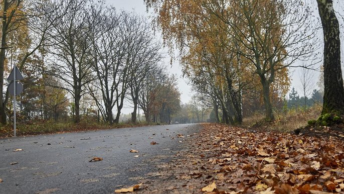 Ulica Aksamitna Ulica Aksamitna - fot. Radosław Jóźwiak / UMŁ