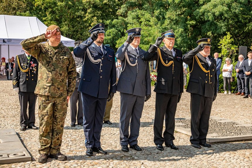 Fot. P. Wacławiak