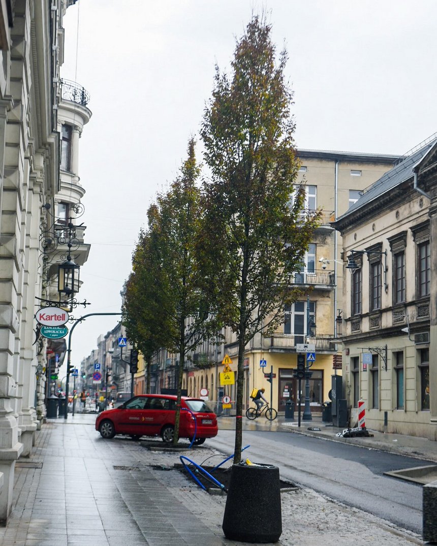 fot. Paweł Łacheta / UMŁ