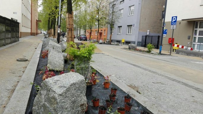 Na ul. Zacisze trwają prace brukarskie i robione są nasadzenia Na ul. Zacisze trwają prace brukarskie i robione są nasadzenia
