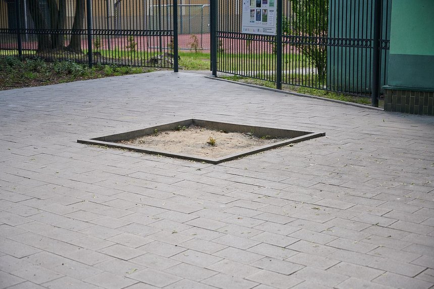 fot. Sebastian Glapiński / UMŁ