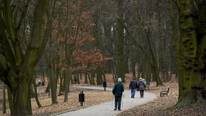Park Julianowski Park Julianowski - fot. Radosław Jóźwiak