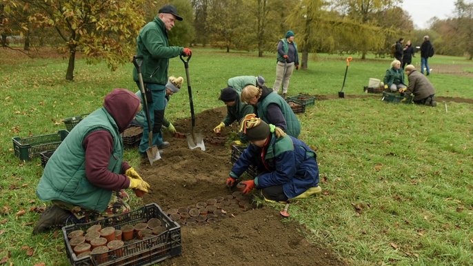 Kończą się prace przy układaniu przyszłorocznej ekspozycji Kończą się prace przy układaniu przyszłorocznej ekspozycji - fot. Paweł Łacheta / UMŁ