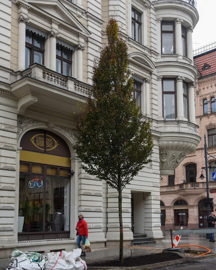 fot. Paweł Łacheta / UMŁ
