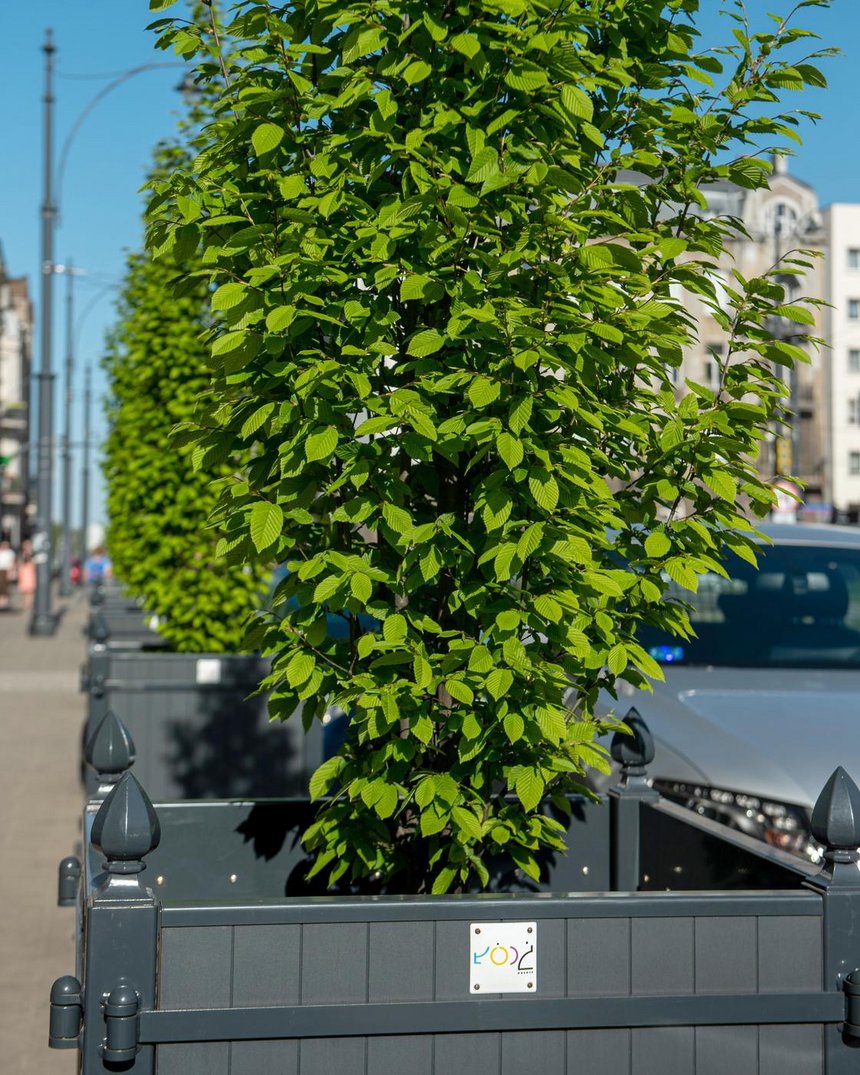 Zielone centrum Łodzi