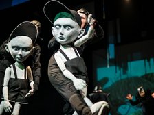 fot. Witold Ancerwoicz / UMŁ