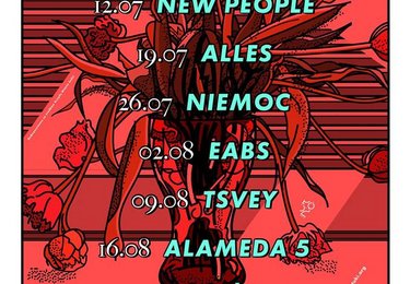 mat. pras. LDZ Alternatywa