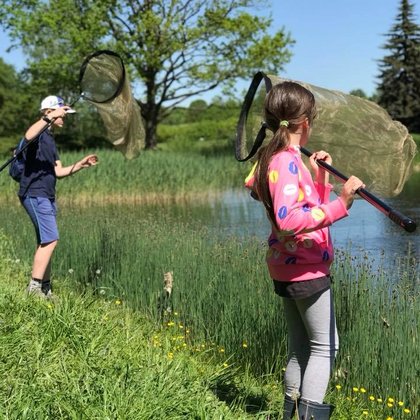 Akademia Różnorodności - łódzkie spotkania z ważkami, fot. Ogród Botaniczny