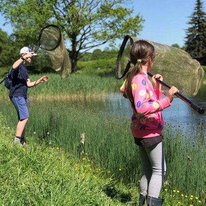 Akademia Różnorodności - łódzkie spotkania z ważkami , fot. Ogród Botaniczny