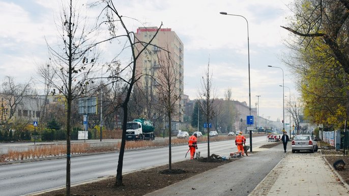 Przy okazji kolejnych inwestycji sadzimy drzewa i tysiące ozdobnych krzewów Przy okazji kolejnych inwestycji sadzimy drzewa i tysiące ozdobnych krzewów - fot. Paweł Łacheta / UMŁ