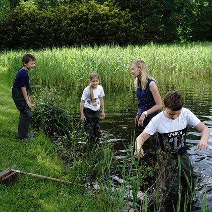 Akademia Różnorodności - warsztaty hydrobiologiczne, fot. Ogród Botaniczny