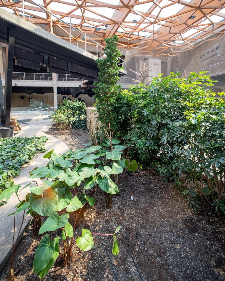 Zielone Orientarium