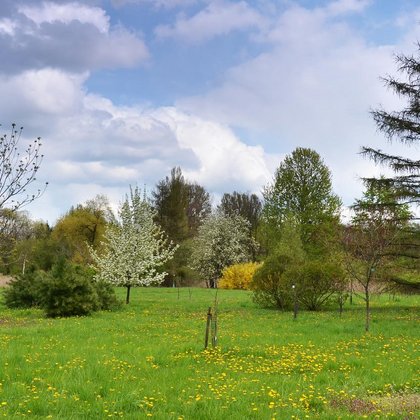 Arboretum, M. Jakubowski