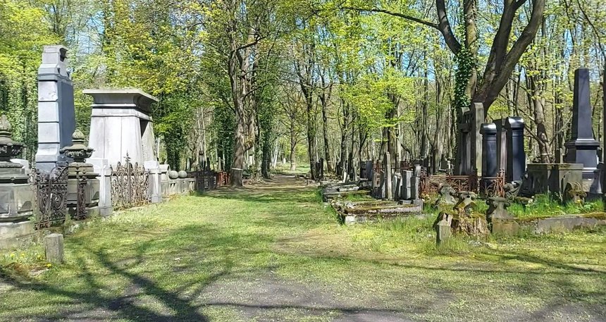 Fot. UMŁ