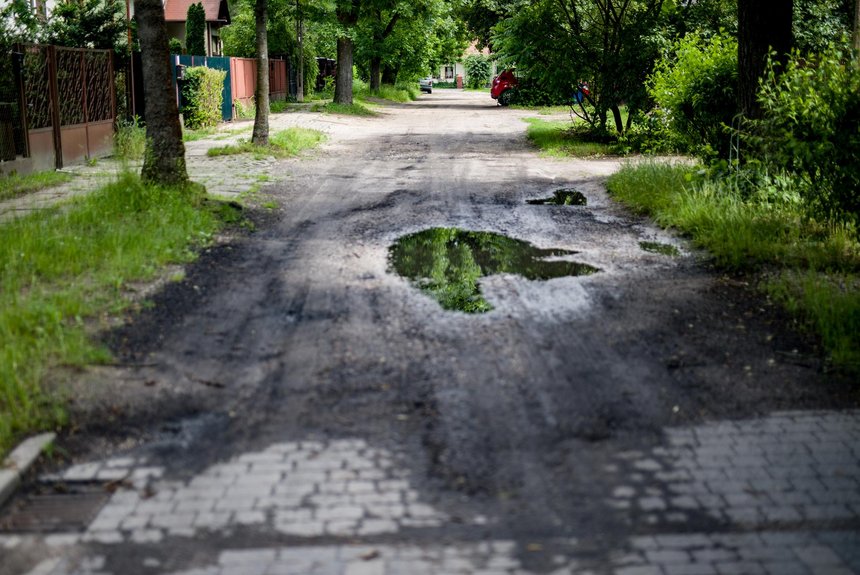 fot. Witold Ancerowicz / UMŁ