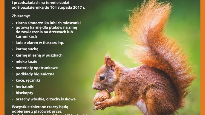 Dzikość serca III Dzikość serca III