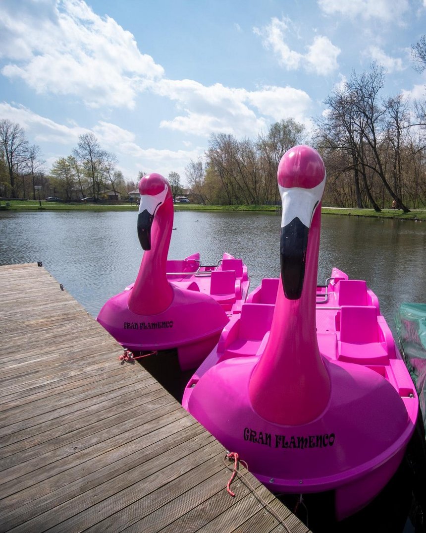 Flamingi - 4–osobowe rowery wodne fot. Stefan Brajter / UMŁ