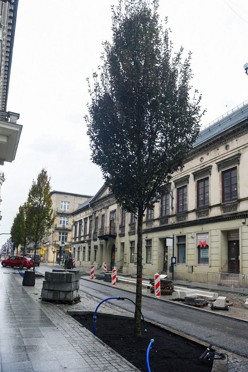 fot. Paweł Łacheta / UMŁ