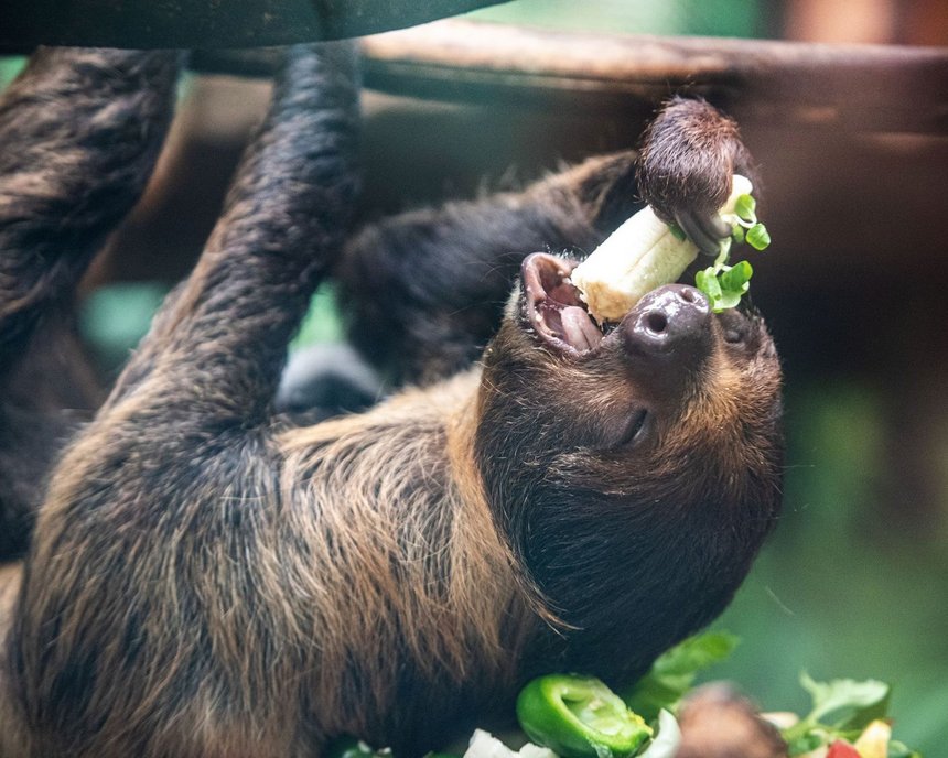 fot. Zoo w Łodzi