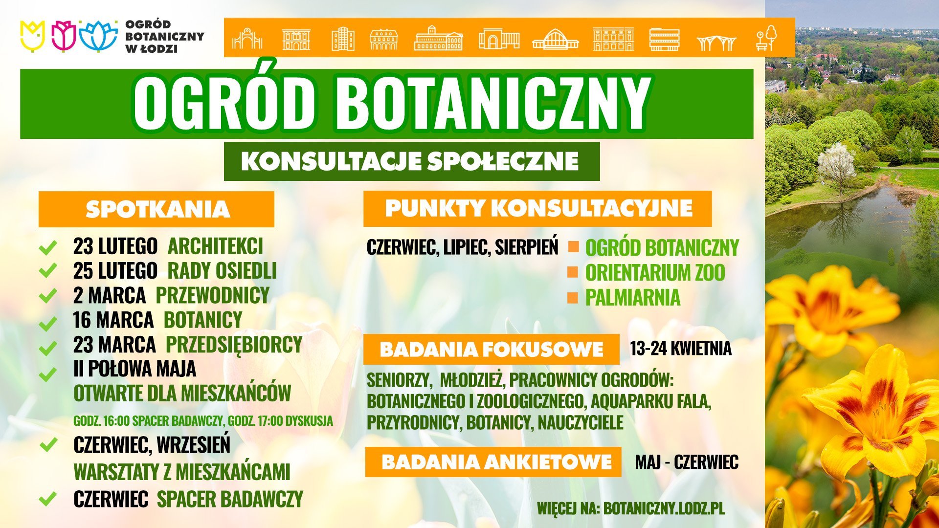 Plakat informacyjny dotyczący konsultacji społecznych Ogrodu Botanicznego w Łodzi. informacje o punktach konsultacyjnych działających latem oraz o badaniach fokusowych i ankietowych. Po prawej stronie widoczna jest fotografia zielonego terenu parku z drzewami, stawem i żółtymi kwiatami. Dominują kolory zielony, pomarańczowy i biały. Harmonogram najbliższych spotkań z grupami ekspertów: 23 lutego architekci, 25 lutego przedstawiciele Rad Osiedli, 2 marca przewodnicy, 16 marca botanicy, 23 marca przedsiębiorcy. 
