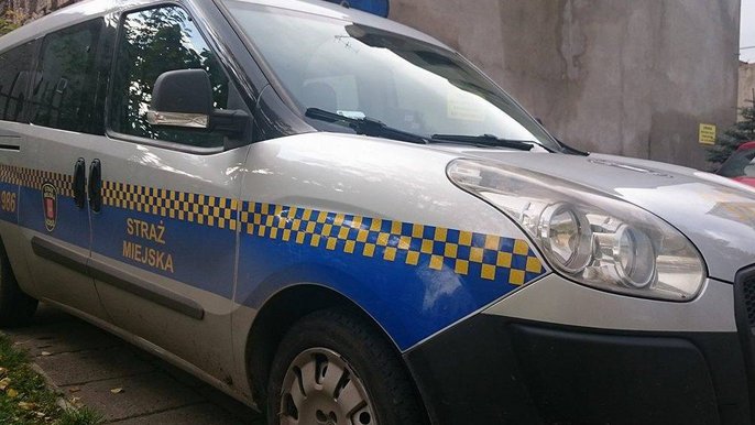 Interwencje strażników Interwencje strażników