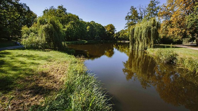 Miasto planuje stworzenie szlaku łączącego Las Łagiewnicki, Staw Wasiaka, park im. Adama Mickiewicza z parkiem Nad Sokołówką, który w ostatnich latach został przebudowany dzięki budżetowi obywatelskiemu. Miasto planuje stworzenie szlaku łączącego Las Łagiewnicki, Staw Wasiaka, park im. Adama Mickiewicza z parkiem Nad Sokołówką, który w ostatnich latach został przebudowany dzięki budżetowi obywatelskiemu. - fot. Archiwum UMŁ