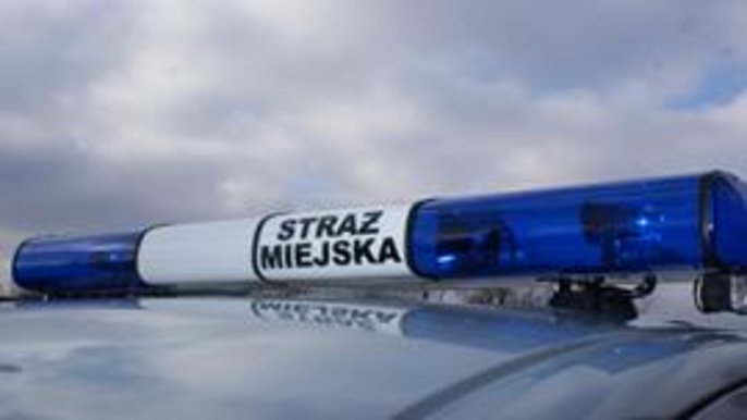 Zgłoszenia na linię 986 Zgłoszenia na linię 986 - fot. SM