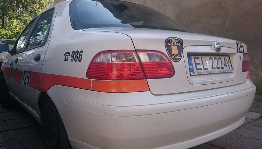 Wykroczenia w ruchu drogowym