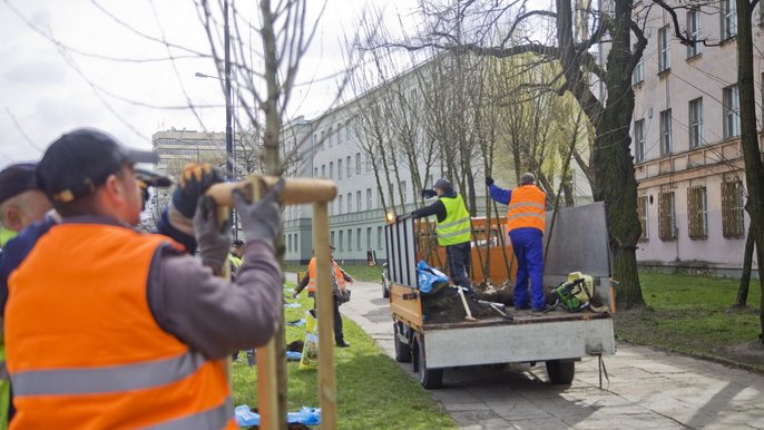 Kończące się lato oznacza, że w Łodzi rozpocznie się sadzenie drzew Kończące się lato oznacza, że w Łodzi rozpocznie się sadzenie drzew - fot. archiwum UMŁ