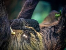 fot. Zoo w Łodzi