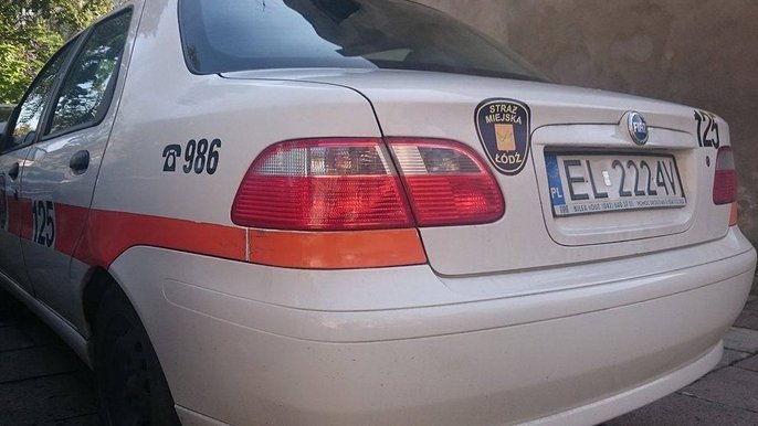 Działania patroli w terenie Działania patroli w terenie