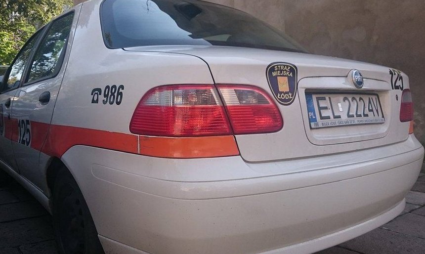 Działania patroli w terenie
