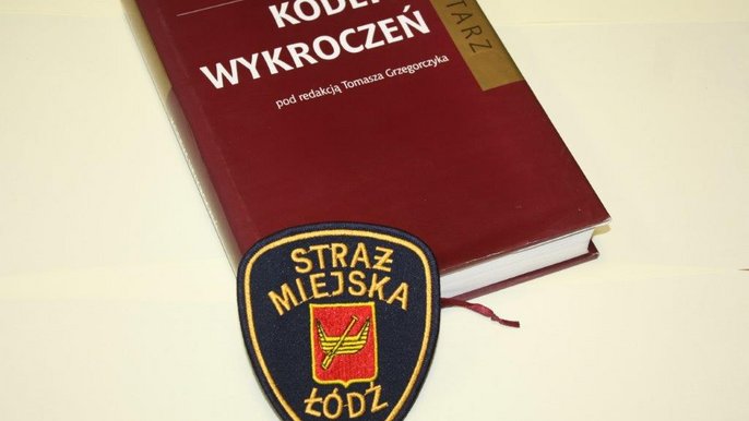 Interwencje na terenie miasta Interwencje na terenie miasta