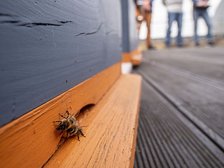 fot. ŁÓDŹ.PL